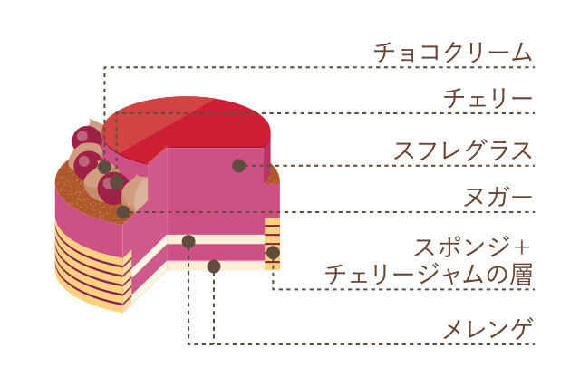 チェリー断面図