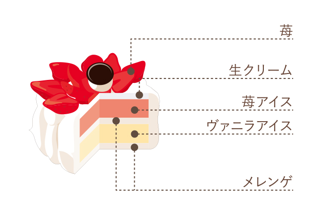 ブーケ断面