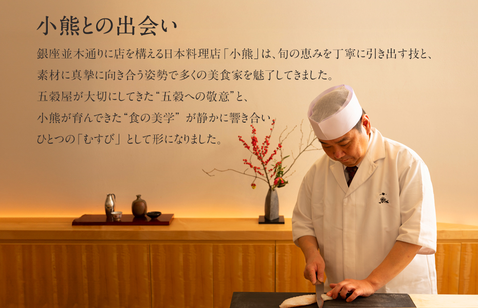 小熊との出会い