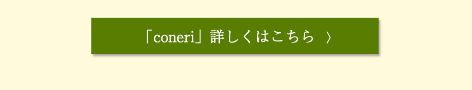 こねりチョコスティックパイ　カテゴリ