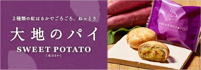 大地のパイ