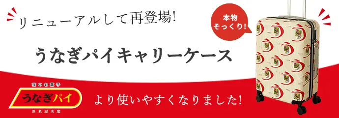キャリーケース　
