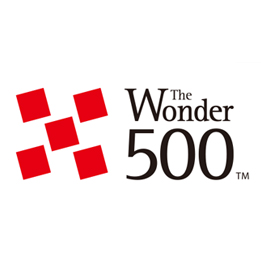 The Wonder 500 TM