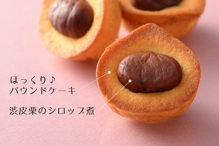 イメージ写真