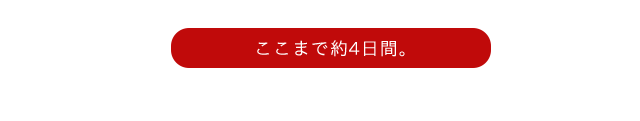 ボタン,羊羹,栗,栗蒸し羊羹