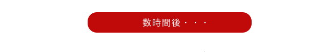 ボタン,羊羹,栗,栗蒸し羊羹