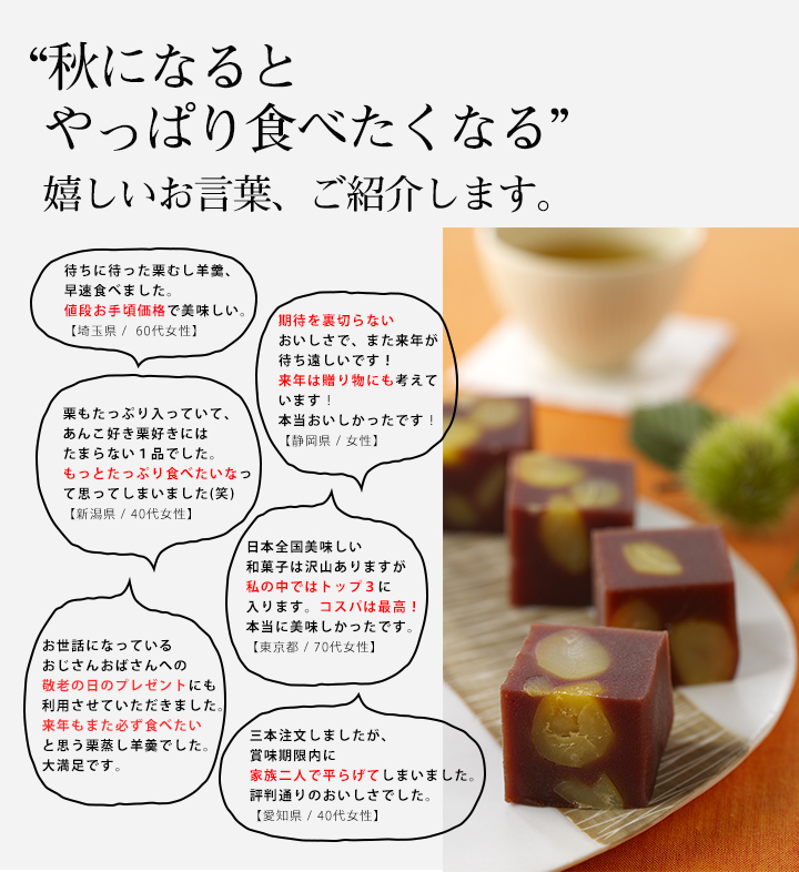 ,羊羹,栗,栗蒸し羊羹
